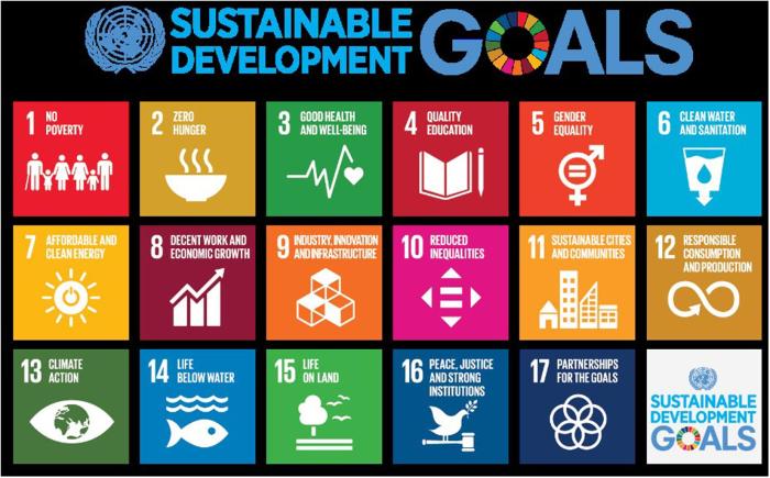 Frontiers | The Development of a Sustainability-Oriented Creativity ...